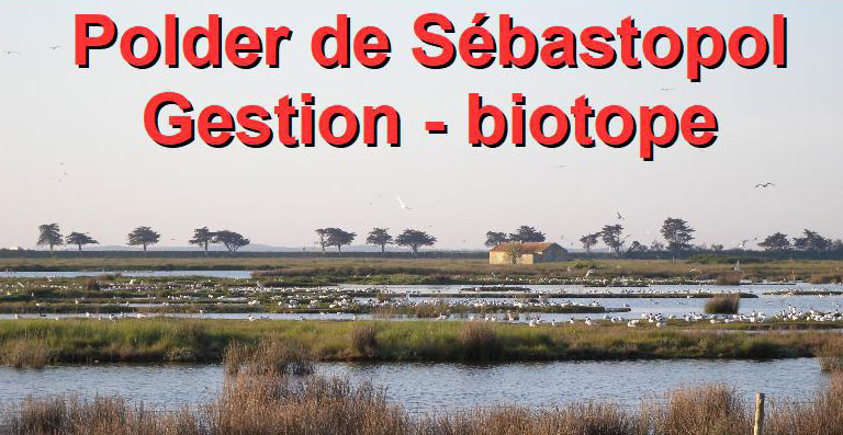 2 juin 2018 – Découverte du Polder Sébastopol