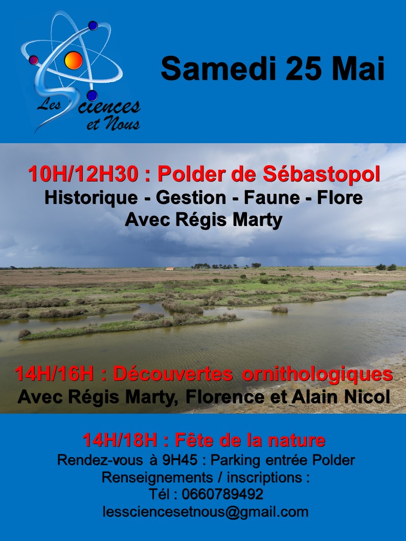 Sortie : Un « autre regard » sur le Polder de Sébastopol !