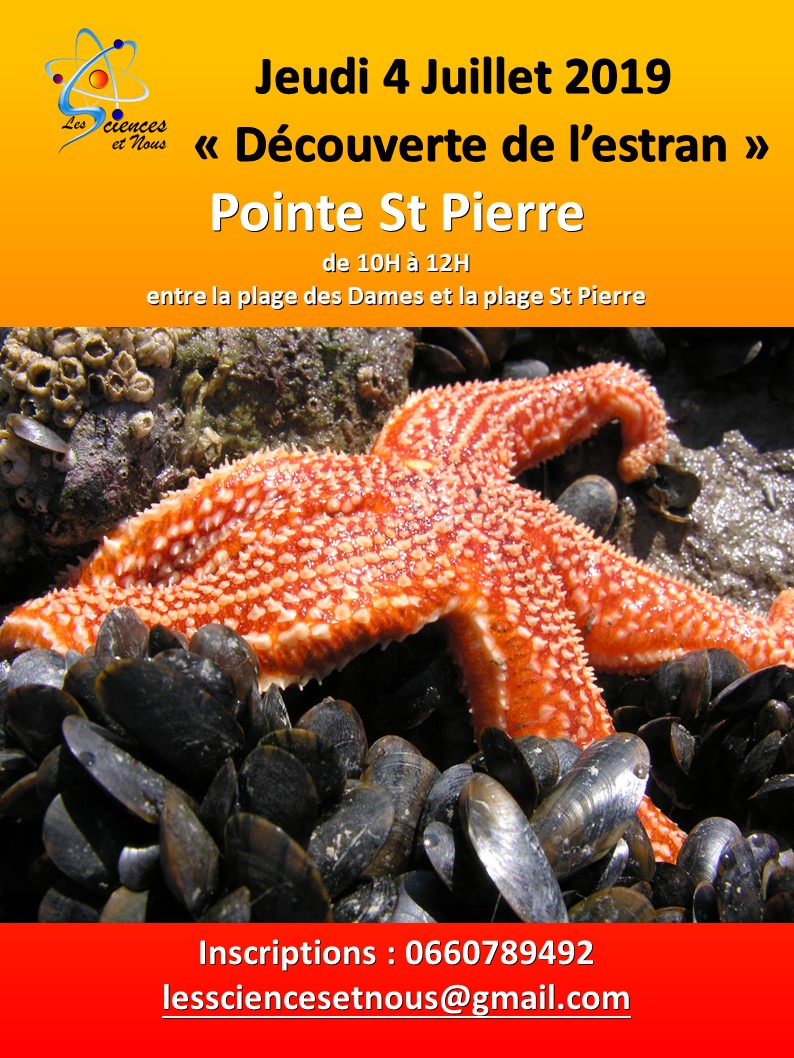 Sortie Découvert de l’Estran 4 juillet 2019