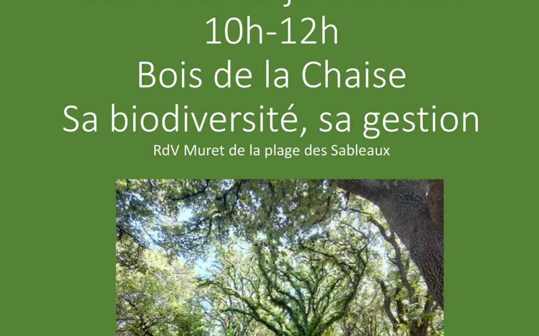 Venez (re-)découvrir la biodiversité du Bois de la Chaise !