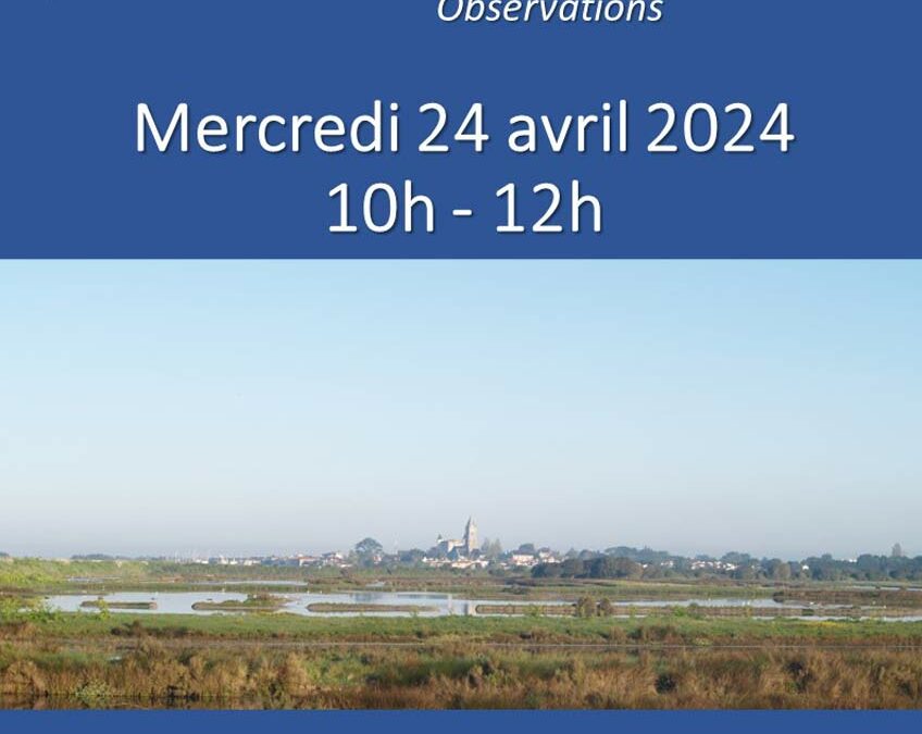 Mercredi 24 avril 2024 | Sortie découverte de la Réserve des Marais de Müllembourg