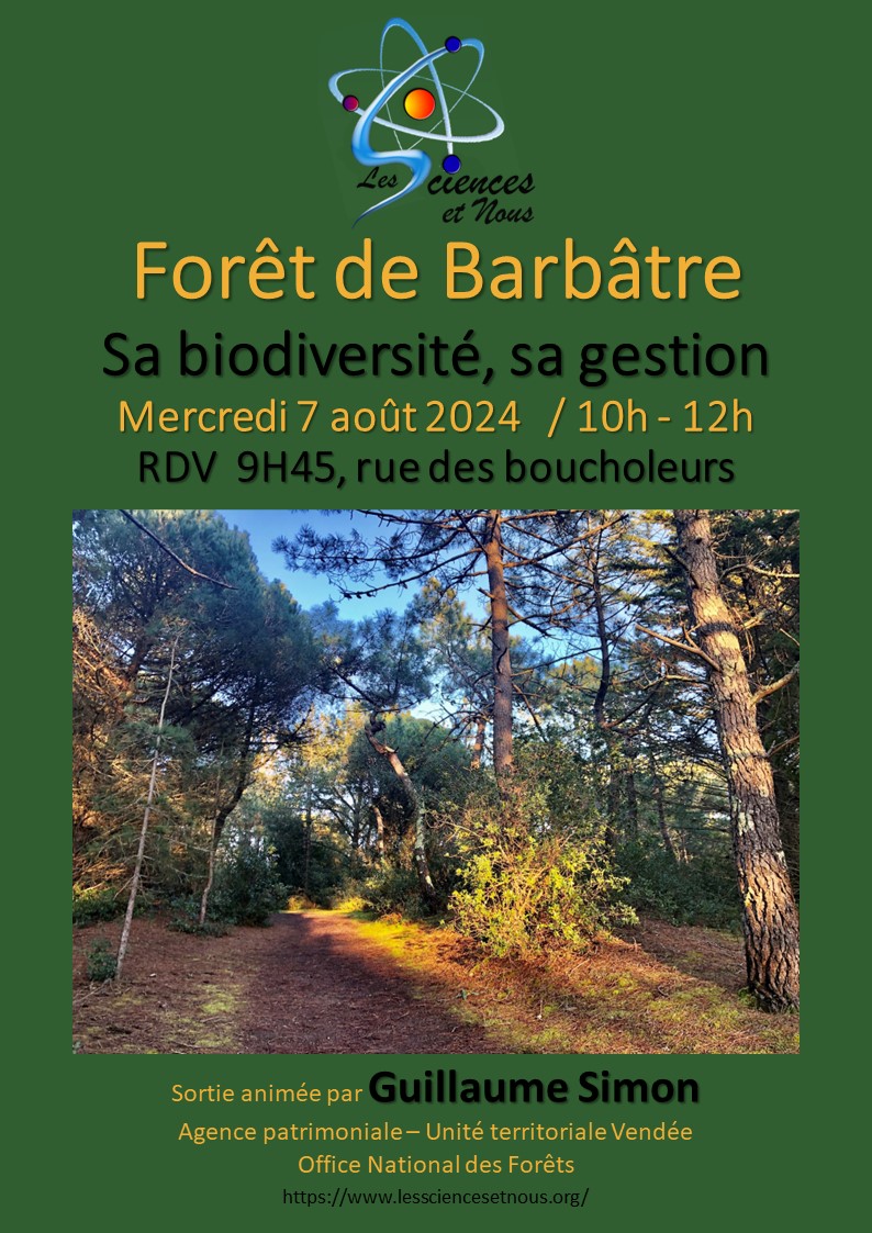 Sortie Forêt Mercredi 7 août 2024