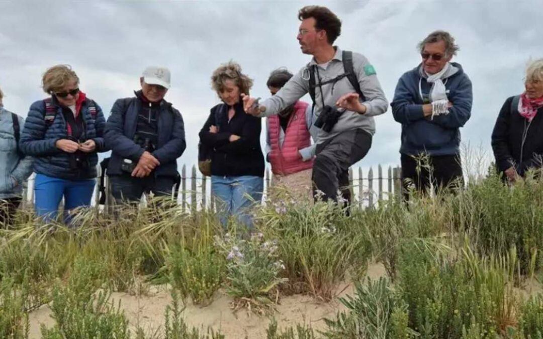 Retour sur la sortie botanique « Objectif Flore »
