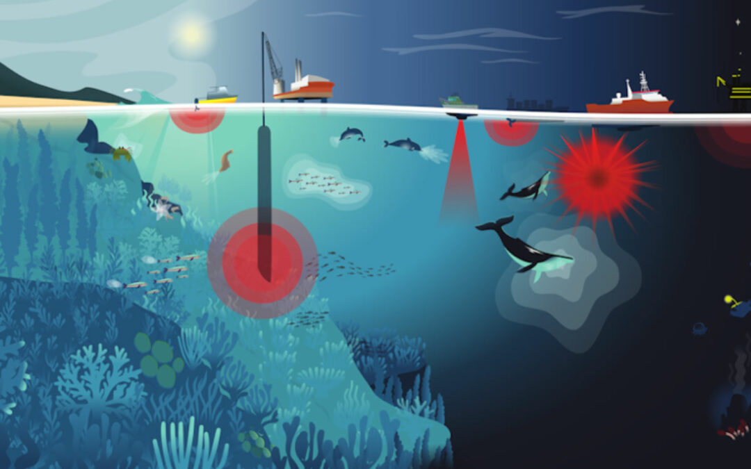 Les dangers de la pollution sonore sous-marine : l’art peut-il aider la science ?