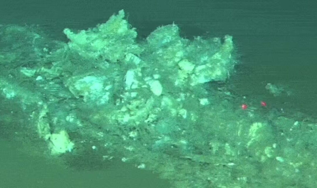Un cimetière de baleines vieux de 5,3 millions d’années découvert au fond de l’océan Indien