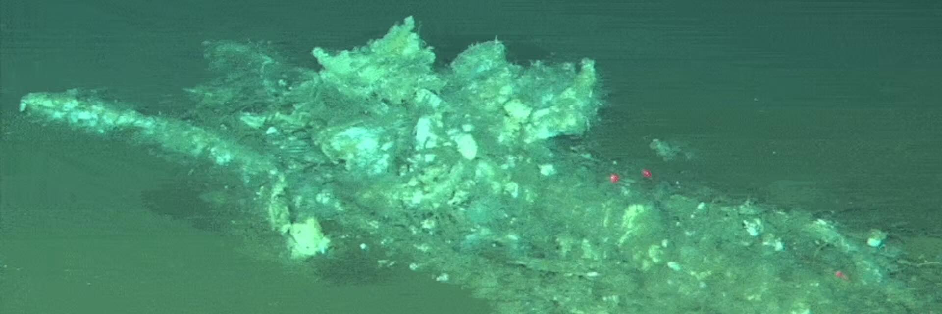 Un cimetière de baleines vieux de 5,3 millions d’années découvert au fond de l’océan Indien