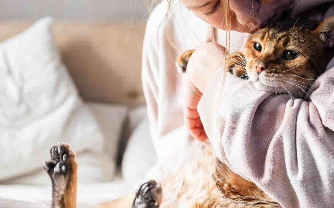 Ce qu’avoir un chat fait à votre cerveau (et au sien)