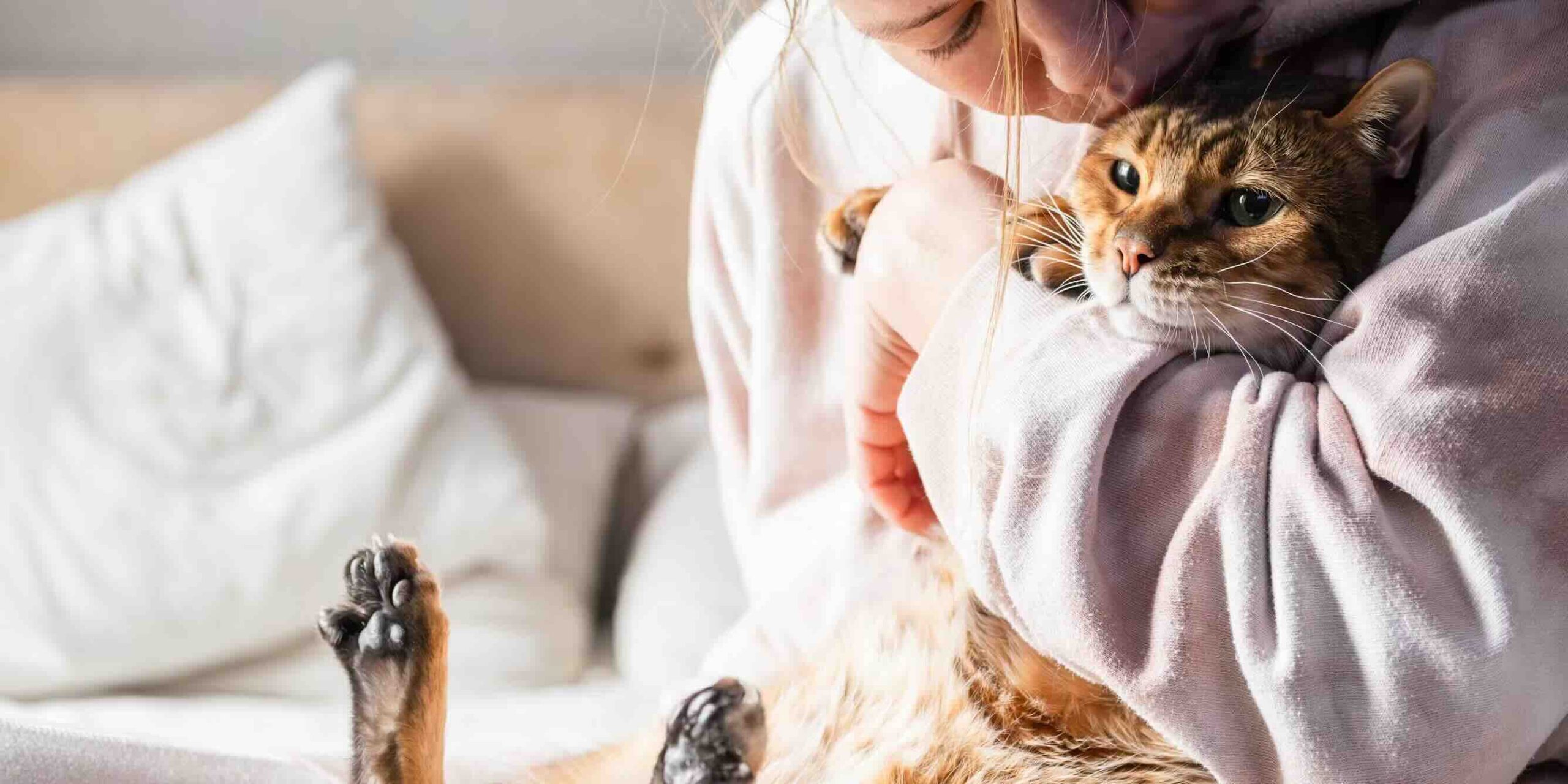 Ce qu’avoir un chat fait à votre cerveau (et au sien)